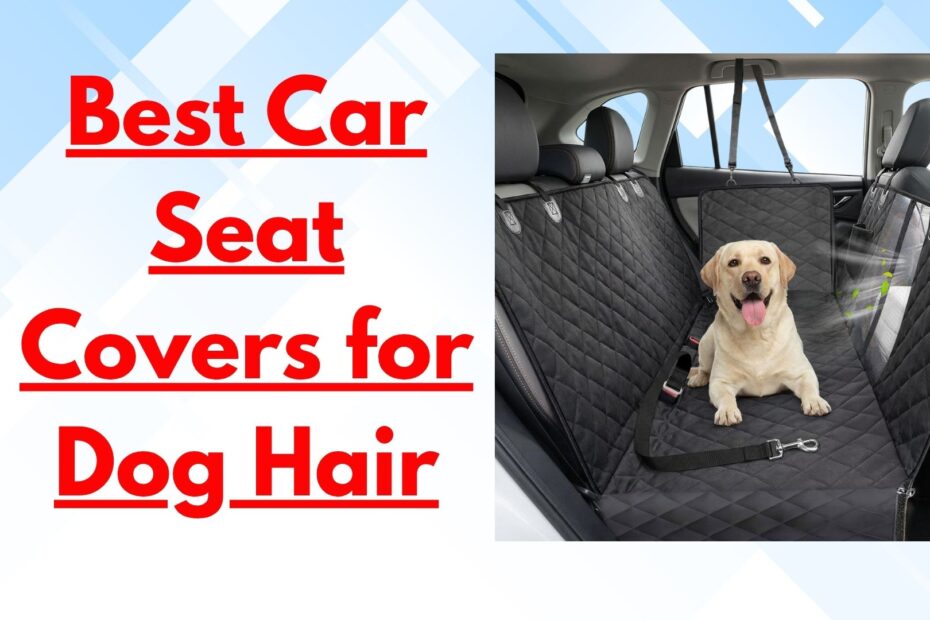 Best Car Seat Covers for Dog Hair